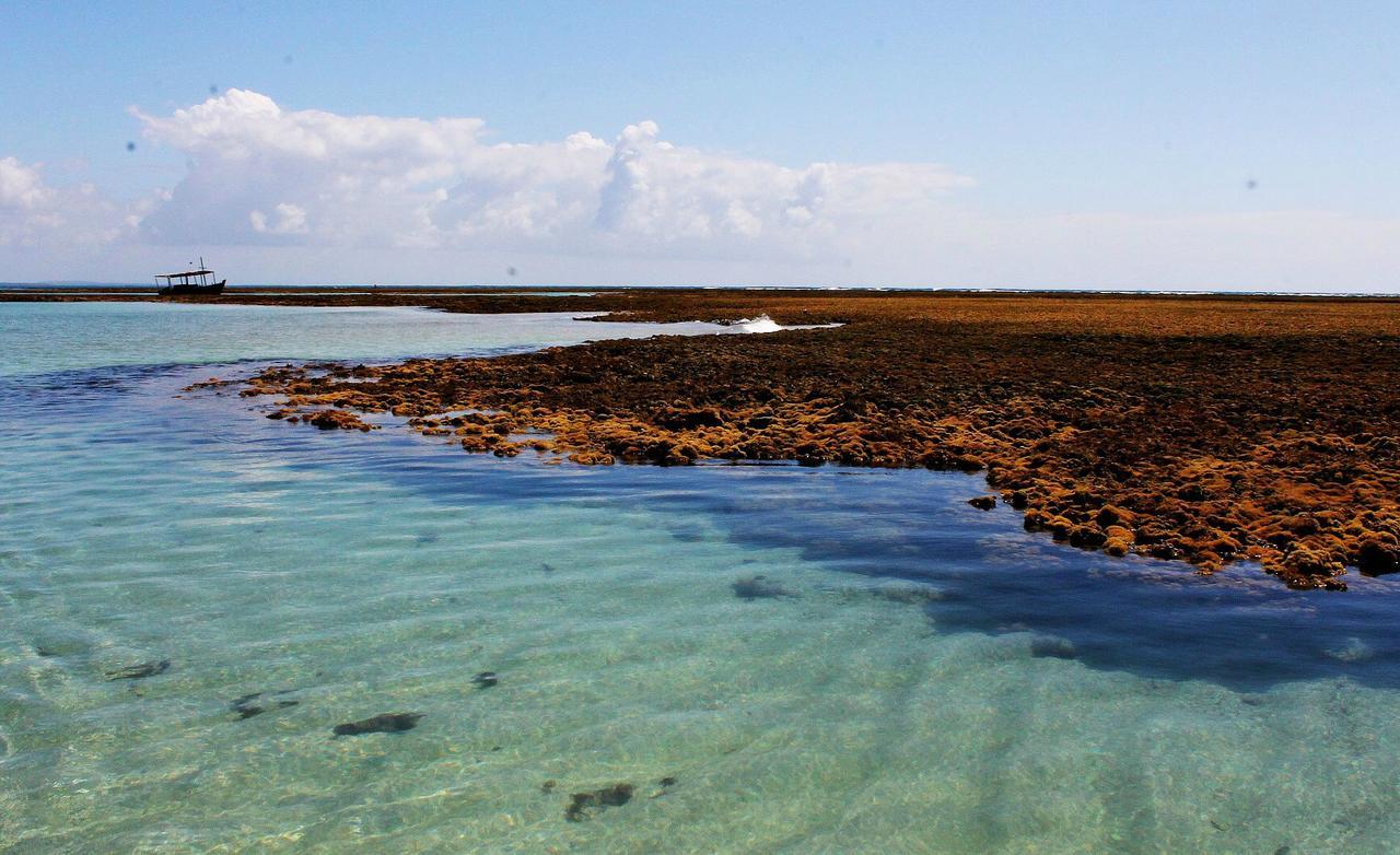 Pousada Casanossa Boipeba Island Exterior foto